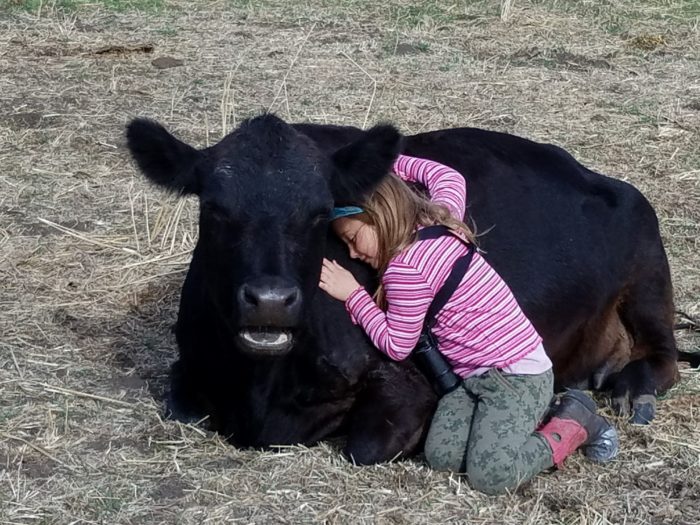 grass-fed-beef-benefits